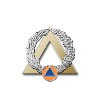 Insigne Moniteur secouriste Argent