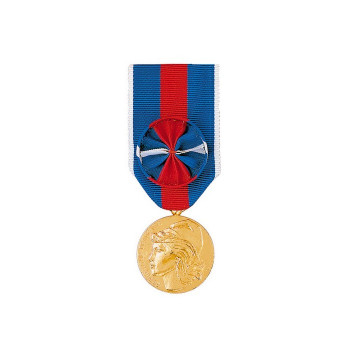 Médaille des Services Militaires Volontaires bronze  